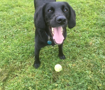 00f77574-6510-4e21-9d1e-786f6c364868-1