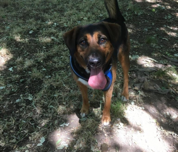 0fbe7a21-755e-4174-9793-780d45effbc9-1