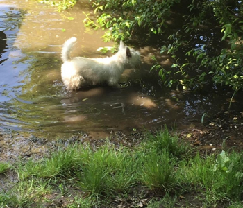 0fc033af-70c2-4213-a23b-b9b6587420ad-1