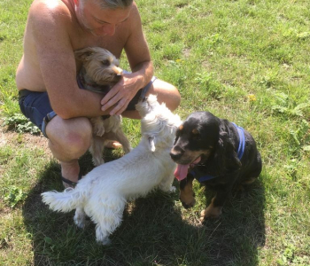 5e74d143-f5ec-4083-8792-171d16fea2bb-1