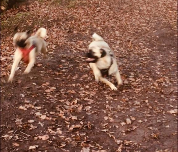 MuddyImage (13)
