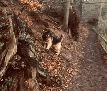 MuddyImage (26)
