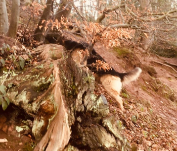 MuddyImage (27)