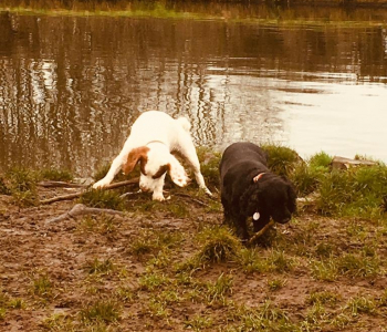 MuddyImage (33)