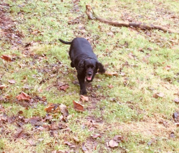 MuddyImage (34)