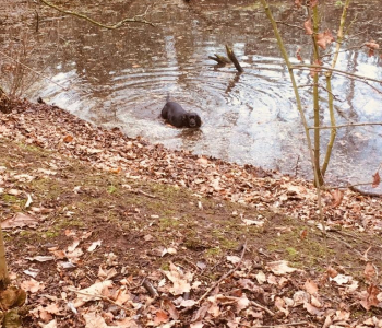 MuddyImage (47)