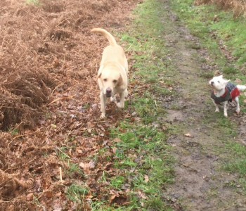 MuddyImage (54)