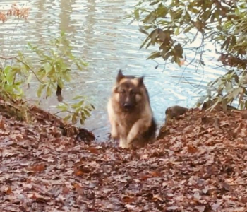 MuddyImage (8)
