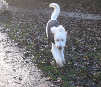 MuddyImages (9)