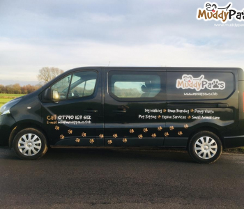 PHOTO-2018-12-13-09-40-34