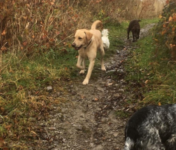 PHOTO-2018-12-13-12-19-33