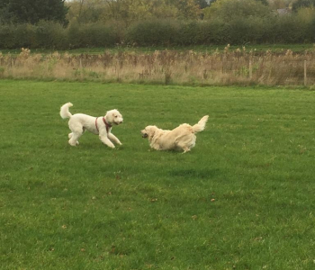 PHOTO-2018-12-13-12-21-13