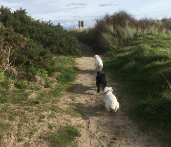 PHOTO-2018-12-13-12-23-59