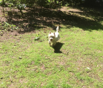 cb28fba3-5253-4bed-89d0-74230207912e